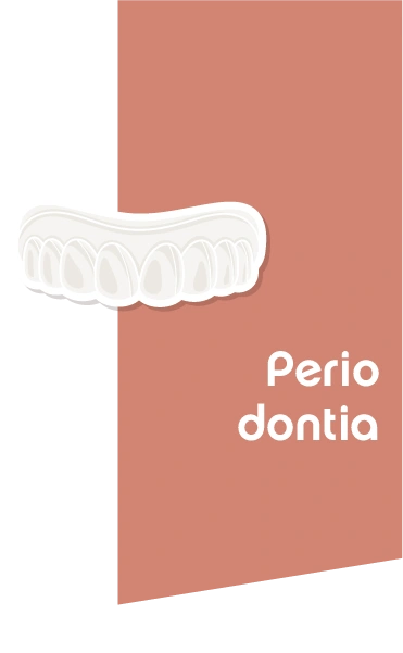 Gengivas saudáveis sustentam sorrisos duradouros.